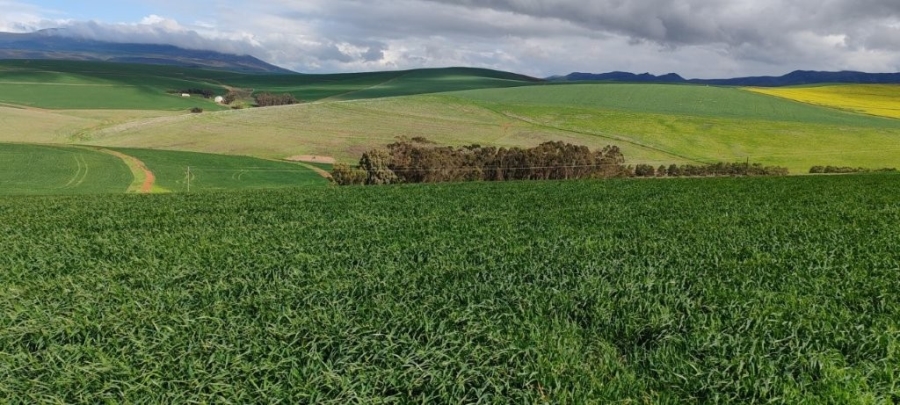 0 Bedroom Property for Sale in Caledon Rural Western Cape